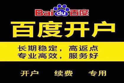 百度推广平台助力企业品牌建设案例分析